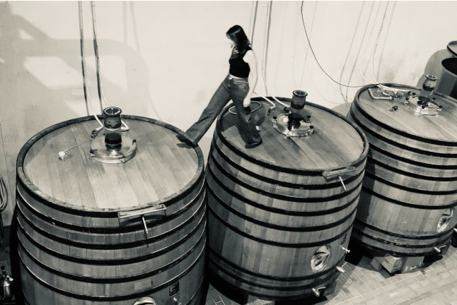 Visite avec Dégustation de 3 Vins et Pique-nique en Duo aux Vignobles Chatonnet (Néac, Gironde - 33)