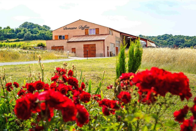 Visite du Domaine Viticole Duffau avec Dégustation de Vins (Gaillac, Tarn - 81)