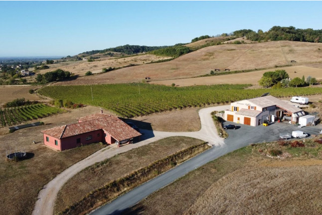 Visite du Domaine Viticole Duffau avec Dégustation de Vins (Gaillac, Tarn - 81)