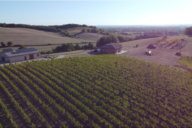 Visite du Domaine Viticole Duffau avec Dégustation de Vins (Gaillac, Tarn - 81)