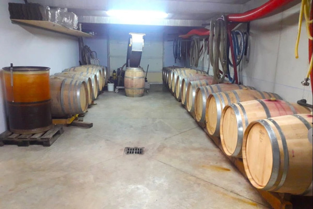 Visite du Domaine Viticole Duffau avec Dégustation de Vins (Gaillac, Tarn - 81)