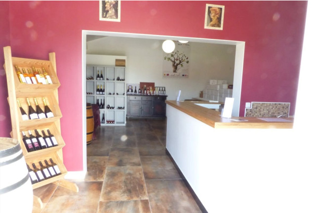 Visite du Domaine Viticole Duffau avec Dégustation de Vins (Gaillac, Tarn - 81)