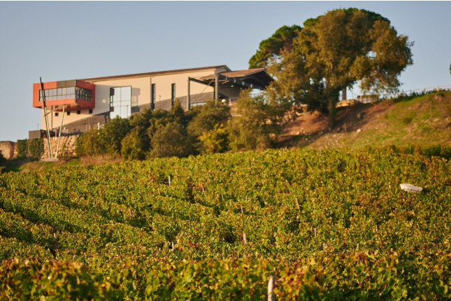 Visite Nature et Terroir, Dégustation de Vins au Château La Croizille (Saint-Émilion, Gironde- 33)
