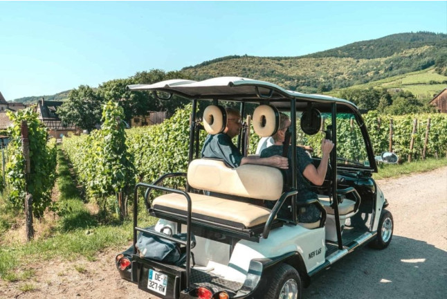 Mini-Rallye Découverte et Visite du Vignoble en Duo au Domaine Pierre Adam (Haut-Rhin, Alsace - 68)