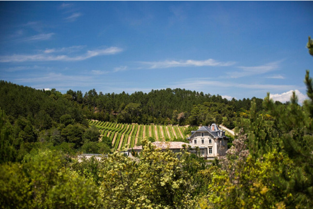 Visite Oenotouristique Héritage avec Dégustation pour deux (Saint-Polycarpe, Aude - 11)