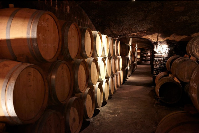 Visite Gourmande de la Cave avec Dégustation de Vin pour deux aux Terres des Templiers (Banyuls-sur-Mer - 66)