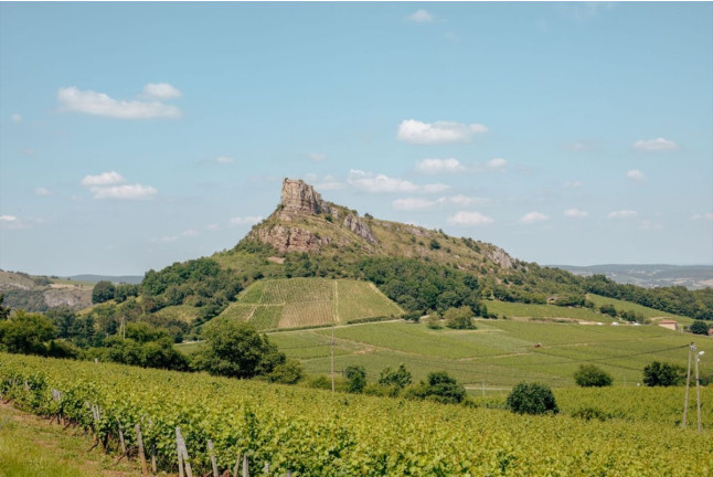 Visite Privée d’une Journée des Vignobles du Beaujolais en Duo (Lyon, Rhône-Alpes - 69) 