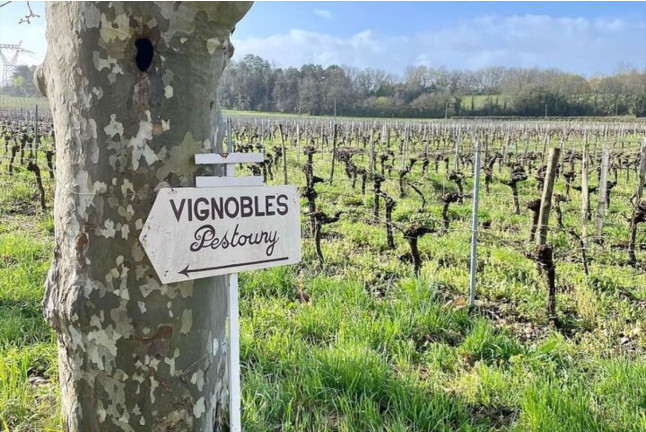 Visite d’un Vignoble Familial Biologique près de Bordeaux avec Dégustation (Yvrac, Gironde- 33)