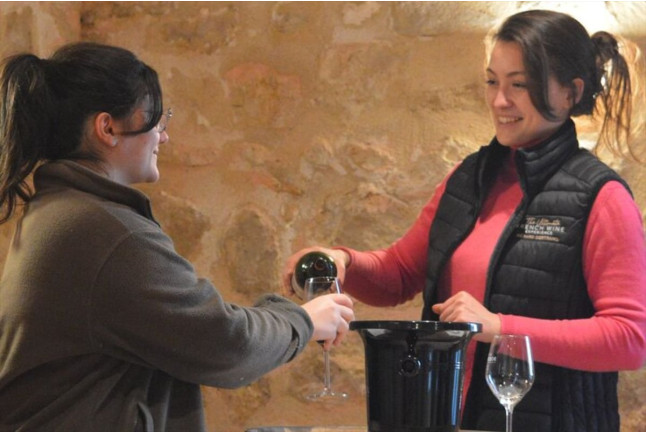 Visite d’un Vignoble Familial Biologique près de Bordeaux avec Dégustation (Yvrac, Gironde- 33)