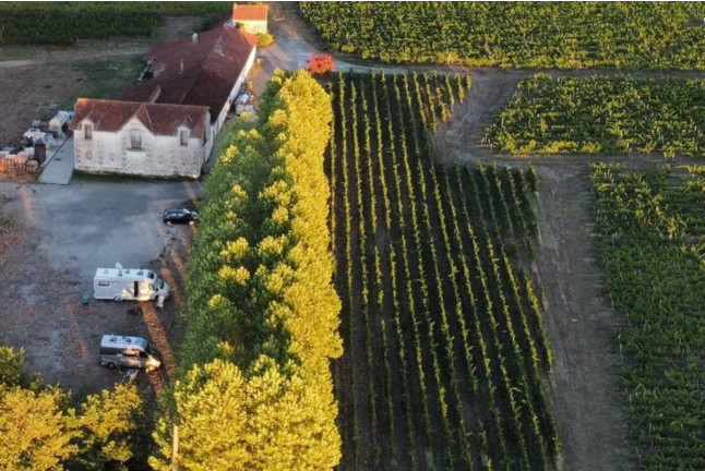 Visite d’un Vignoble Familial Biologique près de Bordeaux avec Dégustation (Yvrac, Gironde- 33)