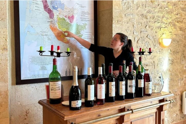 Visite d’un Vignoble Familial Biologique près de Bordeaux avec Dégustation (Yvrac, Gironde- 33)