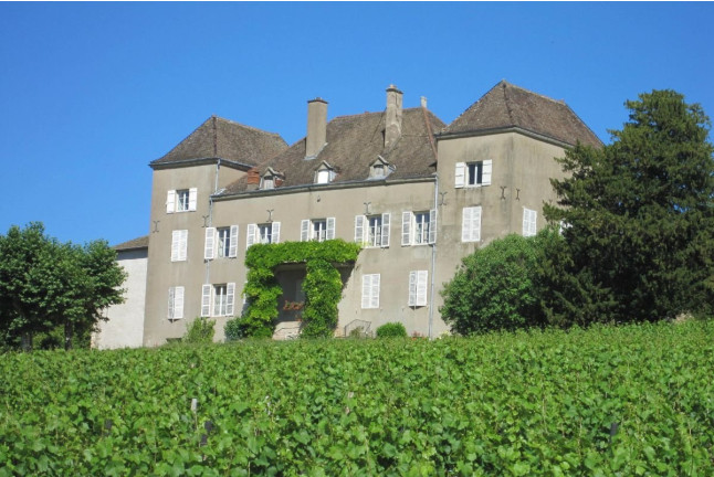 Visite Coup de Foudre du Vignoble au Château de la Greffière pour deux (La Roche Vineuse, Bourgogne - 71)