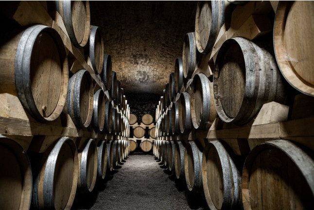 Visite Coup de Foudre du Vignoble au Château de la Greffière pour deux (La Roche Vineuse, Bourgogne - 71)