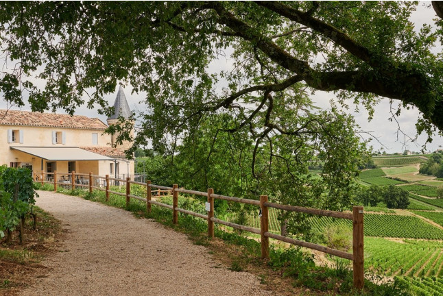 Visite de Vignoble et Pique-nique pour deux au Château La Croizille (Saint-Émilion, Gironde - 33)