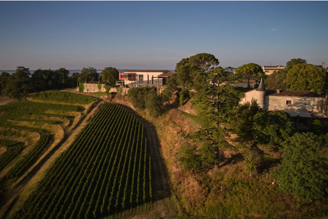 Visite de Vignoble et Pique-nique pour deux au Château La Croizille (Saint-Émilion, Gironde - 33)