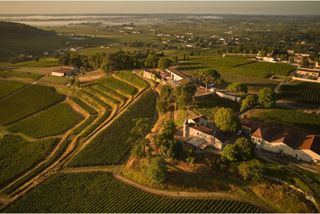 Visite de Vignoble et Dégustation Découverte au Château La Croizille (Saint-Émilion, Gironde- 33)