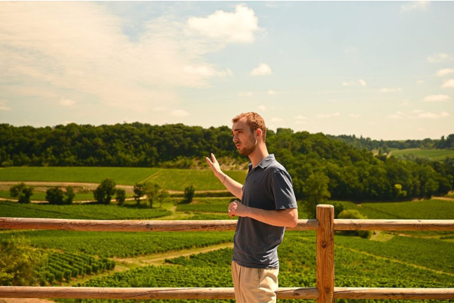 Visite de Vignoble et Dégustation Découverte au Château La Croizille (Saint-Émilion, Gironde- 33)