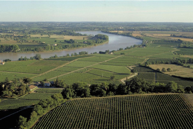 Week-end Œno-relaxation avec Spa et Dégustation de Vins au Château Belloy (Saint-Michel-de-Fronsac, Gironde - 33)