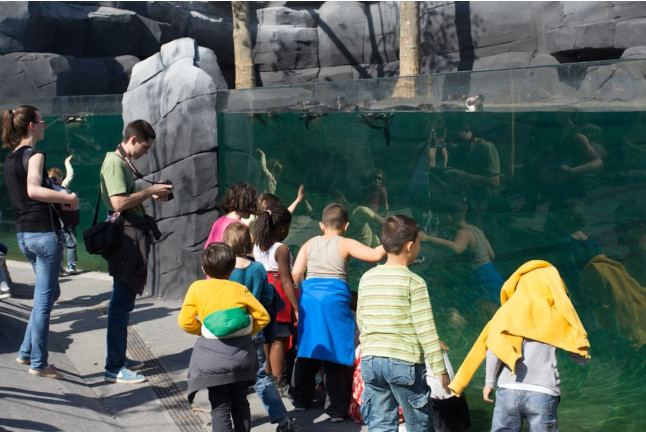 Billets pour le Parc Zoologique de Paris (Paris, Île-de-France - 75)
