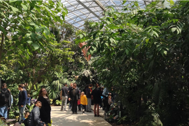 Billets pour le Parc Zoologique de Paris (Paris, Île-de-France - 75)