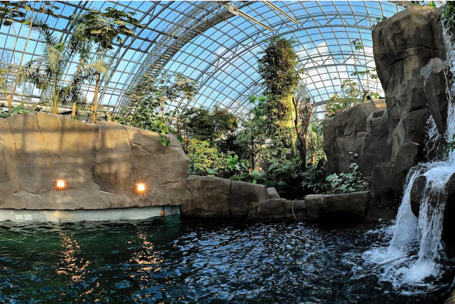 Billets pour le Parc Zoologique de Paris (Paris, Île-de-France - 75)