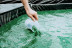 Atelier de Récolte de Spiruline avec Dégustation (Villeneuve d'Ascq, Nord - 59)