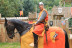 Billets pour Sherwood Parc (Viarmes, Val-d'Oise - 95)