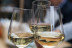 Dégustation Œnologique (Montpellier, Hérault - 34)
