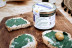 Atelier de Récolte de Spiruline avec Dégustation (Villeneuve d'Ascq, Nord - 59)