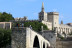 Billets pour Palais des Papes & Pont d'Avignon (Avignon - 84)