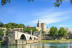 Billets pour Palais des Papes & Pont d'Avignon (Avignon - 84)