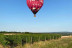 Vol en Montgolfière (Albi, Tarn - 81) 