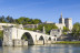 Billets pour Palais des Papes & Pont d'Avignon (Avignon - 84)