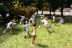 Billets pour Mini World Lyon : Entrée Prioritaire (Lyon - 69)