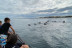 Excursion L'Escapade à Fontarabie (Saint-Jean-de-Luz, Pyrénées-Atlantiques - 64)