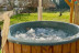 Séjour Insolite dans La Scarabane des Chassaing avec Diner et Jacuzzi (Sassenay, Saône-et-Loire - 71)