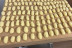 Cours de Fabrication de Tagliatelles ou Gnocchis (Paris, Île-de-France - 75)
