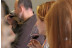 Journée Initiation : Apprendre à Déguster, Parler du Vin et Connaître son Élaboration (Montpellier, Hérault - 34)