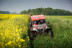 Randonnée en Buggy pour une ou deux personnes (La Ferté Gaucher, Seine-et-Marne - 77)