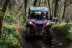 Randonnée en Buggy pour une ou deux personnes (La Ferté Gaucher, Seine-et-Marne - 77)