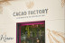 Atelier Découverte Privé du Cacao (Paris, Île-de-France- 75)
