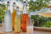 Atelier Boissons Fermentées : Kéfir et Kombucha (Bordeaux, Gironde - 33)