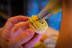 Atelier de Macarons pour Adultes ou Enfants (Le Puy-Sainte-Réparade, Bouches-du-Rhône - 13)