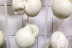 Atelier Mozzarella (Paris, Île-de-France- 75)