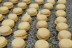 Atelier de Pâtisserie en Normandie (Clères, Seine-Maritime - 76) 