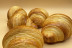 Atelier de Viennoiseries à Domicile de 5h (Bordeaux, Gironde - 33)