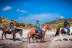 Baignade à Cheval pour Débutants (Cupabia, Corse-du-Sud - 20)