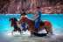 Balade à Cheval sur la Plage (Cupabia, Corse-du-Sud - 20)