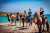 Balade à Cheval sur la Plage (Cupabia, Corse-du-Sud - 20)