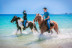 Balade à Cheval sur la Plage (Cupabia, Corse-du-Sud - 20)